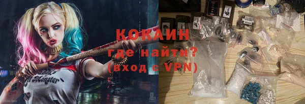 прущие грибы Чегем
