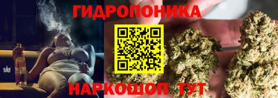 СК Балаково