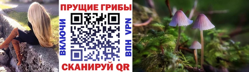 Галлюциногенные грибы MAGIC MUSHROOMS  где продают   Губкин 