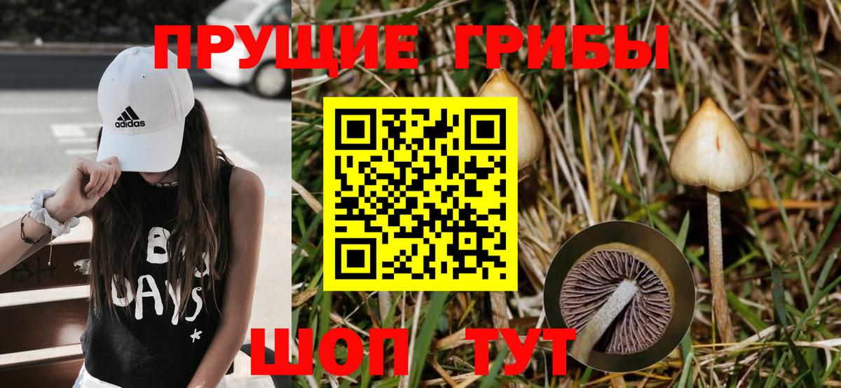 Псилоцибиновые грибы мухоморы Губкин