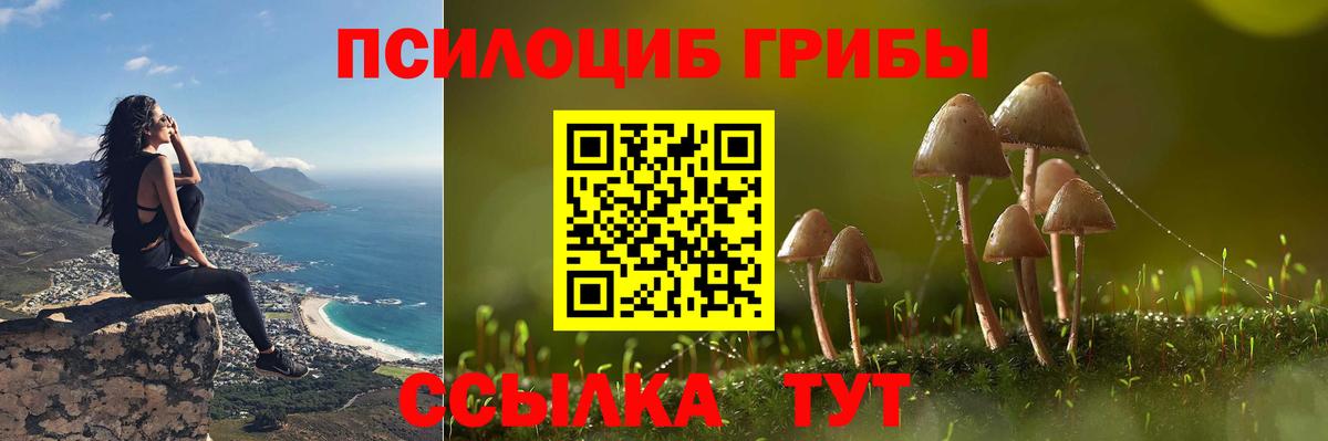 Губкин  Галлюциногенные грибы прущие грибы  Вход с VPN  Галлюциногенные грибы мицелий 